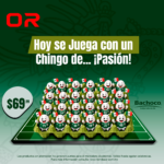 Cartera de huevo bachoco ( contenido 30 huevos)