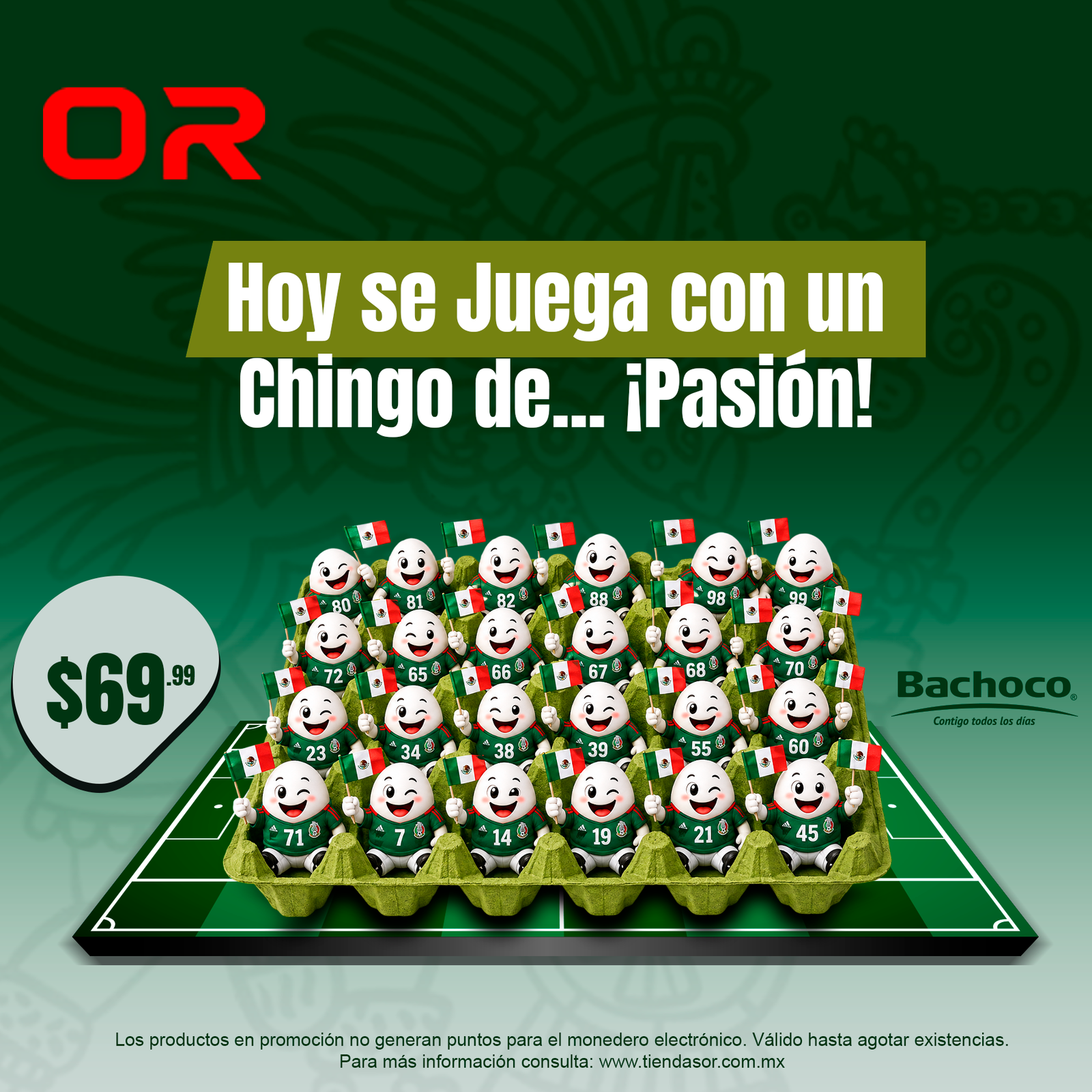 HUEVOS_PASION Cartera de huevo bachoco ( contenido 30 huevos) - Imagen 1